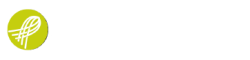 SynergiesTLC - Logo RVB